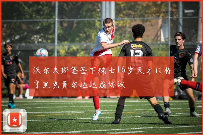 沃尔夫斯堡签下瑞士16岁天才门将亨里克费尔达达成协议
