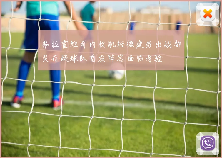 弗拉霍维奇内收肌轻微疲劳出战都灵存疑球队首发阵容面临考验